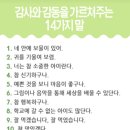 제이와이엠플라워스쿨