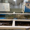 왕대박대게파티 이미지