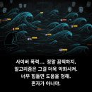 웰빙디지탈 이미지