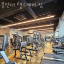 빽짐헬스 이미지