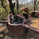 진해 유아숲체험원 이미지