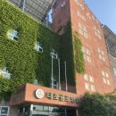 웰빙골프연습장 | 광주 실외골프연습장 태호골프연습장 솔직후기