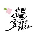 원예마주 이미지