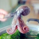 밥도둑 이미지