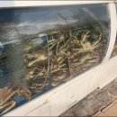 신흥비치 이미지