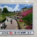 공주시보건소 화장실 티스토리
