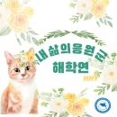 광주에서 목포로 출발 이미지