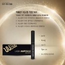 천사속눈썹 이미지
