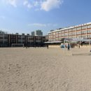 일산초등학교 이미지