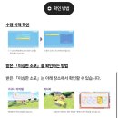 포코 | 닌텐도 스위치2 포켓몬 포코피아 후기