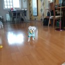 사평대로16길 53_ | 노는건 내가 할게 일은 누가 할래?