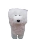 네모강아지 이미지