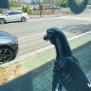 해남동물병원 이미지