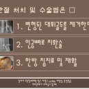 앙리동물병원 이미지