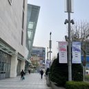 일루젼 | [안양/범계] 튼살커버, 죽은살 관리 :: 일루젼스칼프 안양점 감동후기