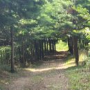 오룡산 등산로 입구 이미지