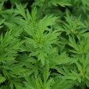 금구원 야외조각미술관 이미지