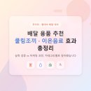 한국물기술인증원 노동조합 | 무더위 열대야 배달 용품 추천, 쿨링조끼·이온음료 효과 총정리