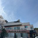 카카오반점 | 내돈내산 포천맛집 샛별반점 광릉수목원 본점 후기