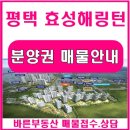 효성바른공인중개사사무소 | 평택 효성해링턴플레이스 분양권 특급매물 빠른선점하세요
