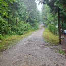 축령산 치유의 숲 안내센터 | 2025 장성 축령산 편백숲 산소축제 열려요