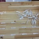 백석대학교 부속유치원 이미지