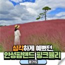 하남제3호어린이공원(햇살) | 경기도 핑크뮬리 명소 안성팜랜드 코스모스도 굿 입장료 할인 정보