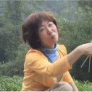신영주 이미지