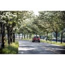 물야면 이팝나무 이미지