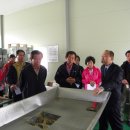 칠곡양봉영농조합법인 이미지