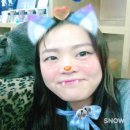 고양이다락방 이미지
