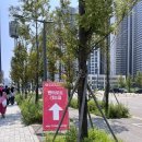 펜타포트약국 이미지