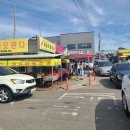 강화 화개정원+함상공원(feat. 맛집 대룡왕핫도그,강화풍물시장 교동집)