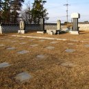 전봉준 단비 이미지