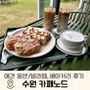 수원 애견 동반 가능 카페 곡반정동 카페노드