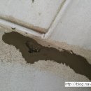 동삼1동-2 이미지