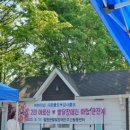 자등1리~자등5리 이미지