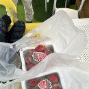 이전농장 | 포천딸기농장 아딸농원 매년 아이와 재방문하는 이유