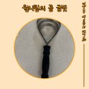 곰 | 원시림의곰 금빗 내돈내산 후기