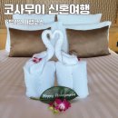 코사무이 | 신혼여행 리얼 후기 팜투어 패키지부터 콘래드까지 5박 7일 여행코스