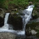 새밭마을 입구 이미지