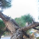 북부소방서 화장실 이미지