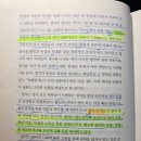 초록효소