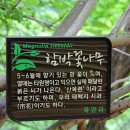 태백광택 이미지