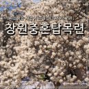 충혼탑 주차장 주변 이미지