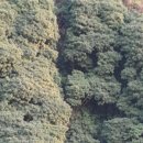 송악건설(주) 이미지