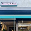 블루밍앤브러쉬