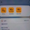 실손 납입 중지 후기 2탄 중복보험 보장비교 필수 재개시 주의점