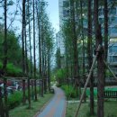 우림필유공인중개사사무소 이미지