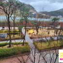 월영동123 이미지